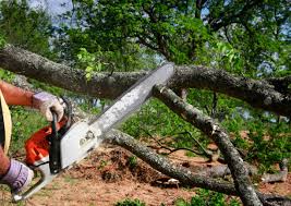 Best Leaf Removal  in Brookfield, MO